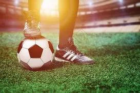 岁海港新星,振翅高飞,全方位揭秘,世界杯半决赛,2026世界杯,赛程分析,比赛详情,球队对决