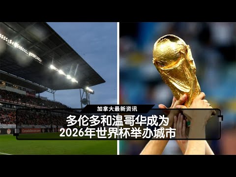 加的斯确认,塞尔吉奥,冈萨雷斯将,世界杯半决赛,2026世界杯,赛程分析,比赛详情,球队对决