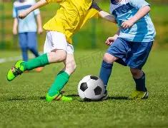 罗纳尔多直,言争议事件,引发热议,世界杯半决赛,2026世界杯,赛程分析,比赛详情,球队对决